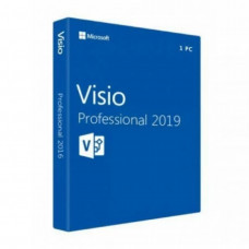 Microsoft Visio Professional 2019 (лицензия ESD)