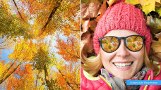 Photoshop Elements 2022 PC/Mac + premiere elements 2022 pc/Mac.