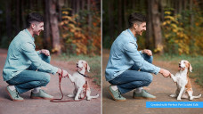 Photoshop Elements 2022 PC/Mac + premiere elements 2022 pc/Mac.